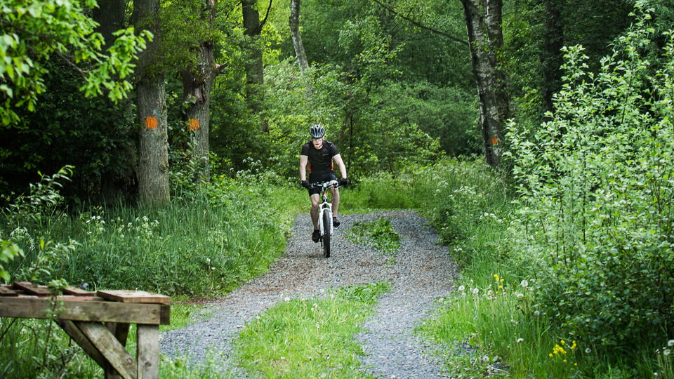 Fin skogsväg med en cyklist