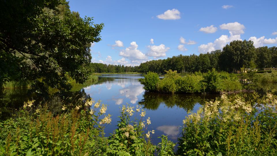 The lake Vinslövssjön.