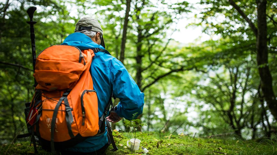En vandrare i skogen med ryggsäck.