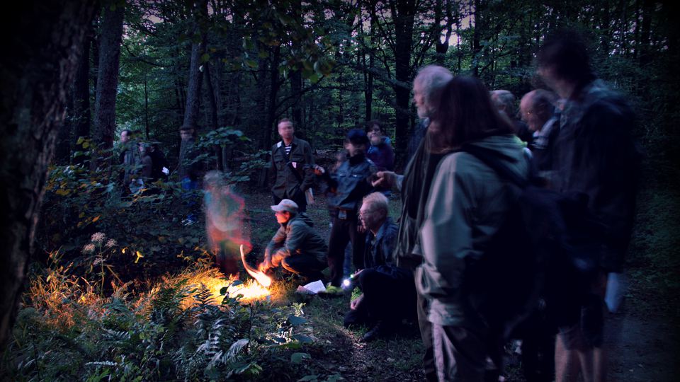 En grupp människor är ute i mörker med sina ficklampor i skogen under ett fladdermussafari.